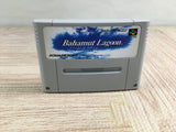 Bahamut Lagoon Boxed Nintendo Super Famicom SNES Japan - UF8487 - Photo 11