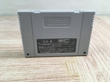 Bahamut Lagoon Boxed Nintendo Super Famicom SNES Japan - UF8487 - Photo 12