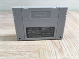 Lady Stalker Kako kara no Chousen Boxed Super Famicom SNES Japan - UF8489 - Photo 12
