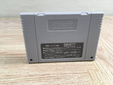 Lady Stalker Kako kara no Chousen Boxed Super Famicom SNES Japan - UF8490 - Photo 12
