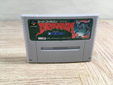Drakkhen Boxed Nintendo Super Famicom SNES Japan - UF8491 - Photo 11