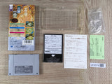 Populous 2 Trials of the Olympian Gods Boxed Super Famicom SNES Japan - UF8579 - Photo 2
