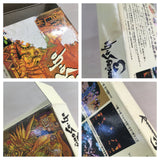 Romancing Sa Ga 3 Boxed Nintendo Super Famicom SNES Japan - UF8625 - Photo 9