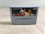 Zen Nippon ProWrestling Boxed Nintendo Super Famicom SNES Japan - UF8743 - Photo 11