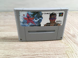 FirePro AllStarDreamSlam ProWrestling Boxed Super Famicom SNES Japan - UF8745 - Photo 11
