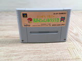 Saibara Rieko no Mahjong Hourouki Boxed Super Famicom SNES Japan - UF8837 - Photo 11