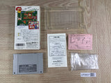 Saibara Rieko no Mahjong Hourouki Boxed Super Famicom SNES Japan - UF8837 - Photo 2