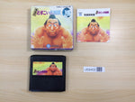 UE8402 Terao no Dosukoi Ozumo Sumo BOXED NES Famicom Japan