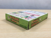 UE8323 The Legend of Zelda Link's Awakening DX BOXED GameBoy Game Boy Japan
