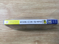 FJ1100 Monster Hunter Portable PSP Japan