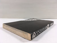 AAA1828 Itsuwaribito Sora Vol.1 Japanese Manga
