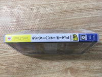FJ1101 Monster Hunter Portable PSP Japan