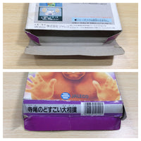 UE8402 Terao no Dosukoi Ozumo Sumo BOXED NES Famicom Japan