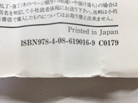 AAA1373 Ultimate!! HK Kamen Vol.1 Japanese Manga