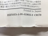 AAA1373 Ultimate!! HK Kamen Vol.1 Japanese Manga