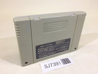 SJ7391 Super Mario World SNES Super Famicom Japan