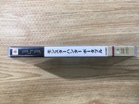 FJ1102 Monster Hunter Portable PSP Japan