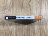FH7821 Irregular Hunter Rockman Megaman PSP Japan