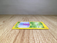 CE8602 Nidoran Male - web 002/048 Pokemon Card TCG Japan