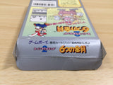 UE8497 Super Mario Land 2 6 Golden Coins BOXED GameBoy Game Boy Japan