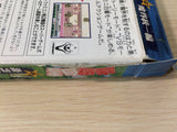 Yu Yu Hakusho 4 Makai Touitsu Hen BOXED GameBoy Game Boy Japan - UE1400