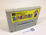 SJ7403 Super Mario Collection All Stars SNES Super Famicom Japan