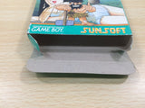 Pri Pri Primitive Princess! BOXED GameBoy Game Boy Japan - UE5882