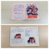 Ranma 1/2 Kakugeki Mondou BOXED GameBoy Game Boy Japan - UE3375