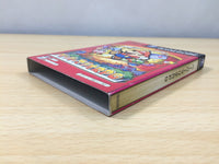 UE8066 Paper Mario The Thousand Year Door BOXED GameCube Japan