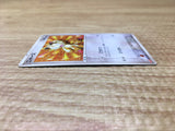CE2748 Meowth PROMO PROMO 062/ADV-P Pokemon Card TCG Japan