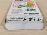 Momotaro Thunderbolt Dengeki Peach Boy BOXED GameBoy Game Boy Japan - UE2161