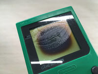LG2208 Plz Read Item Condi GameBoy Pocket Green Game Boy Console Japan