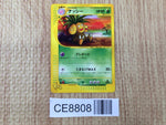 CE8808 Exeggutor - web 020/048 Pokemon Card TCG Japan