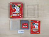 Shikakui Atama MaruKusuru Nanmon Syo BOXED GameBoy Game Boy Japan - UE2162
