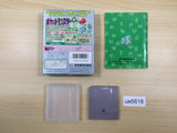 Pokemon Green BOXED GameBoy Game Boy Japan - UE5618