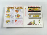 DK7012 The Legend Of Zelda 2 BOXED Famicom Disk Japan