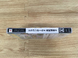 fh8923 Dragon Ball Z Shin Budokai 2 PSP Japan