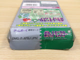 Pokemon Green BOXED GameBoy Game Boy Japan - UE5618