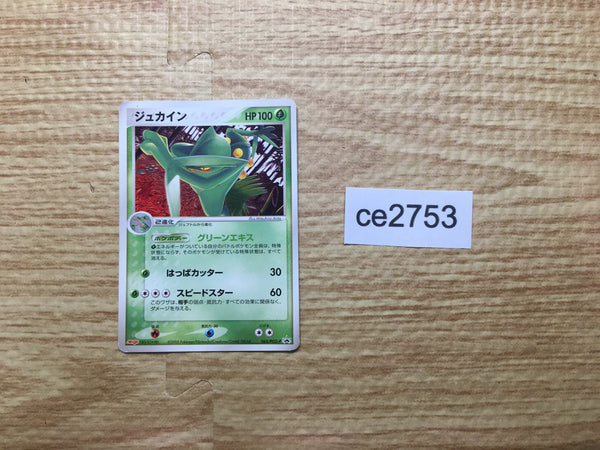CE2753 Sceptile - PROMO 063/PCG-P Pokemon Card TCG Japan