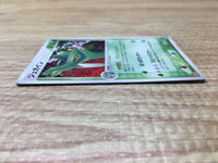 CE2753 Sceptile - PROMO 063/PCG-P Pokemon Card TCG Japan