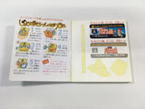 DK7014 Kid Icarus BOXED Famicom Disk Japan