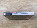 FJ1299 Neon Genesis Evangelion 2 PSP Japan