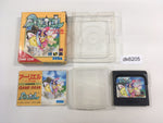 DK6205 Arliel Crystal Densetsu BOXED Sega Game Gear Japan