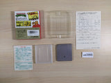 Teenage Mutant Ninja Turtles TMNT BOXED GameBoy Game Boy Japan - UE3966