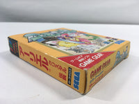 DK6205 Arliel Crystal Densetsu BOXED Sega Game Gear Japan