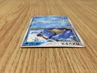 CE8210 Blastoise - PROMO 001/PCG-P Pokemon Card TCG Japan