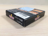 NBA All-Star Challenge 2 Basketball BOXED GameBoy Game Boy Japan - UE5294
