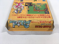 DK6205 Arliel Crystal Densetsu BOXED Sega Game Gear Japan