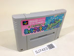 SJ7423 Super Mario World 2 Yoshi's Island SNES Super Famicom Japan