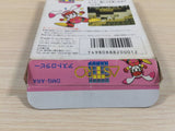 Astro Rabby BOXED GameBoy Game Boy Japan - UE4100